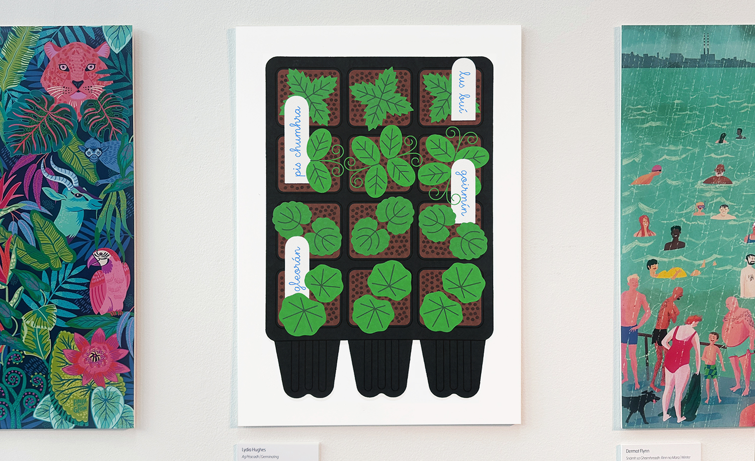 Affinities---Exhibition---Lydia-Hughes---Header 2